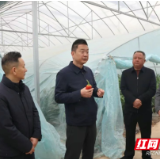 陈淼调研农垦集团农业项目