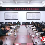 雷欣主持召开党外人士及基层代表征求意见座谈会