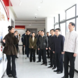 湖南省税务局、长沙海关联合调研组赴岳阳临港高新区调研