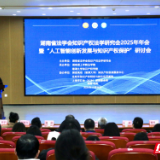 湖南省法学会知识产权法学研究会2025年会在湖南理工学院举行