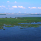 第四届湖南旅游发展大会 | 献礼盛会 唱响岳阳④《岳阳有约》