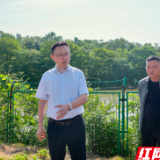 白再兴深入郭镇乡调研乡村振兴工作