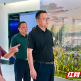 白再兴调研岳阳楼区备战省旅发大会项目建设