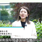 湖南国际频道主持人齐颖为2025世界旅游联盟·洞庭对话打CALL