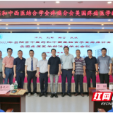 岳阳市中医医院举行国际疼痛医学新进展学术交流活动