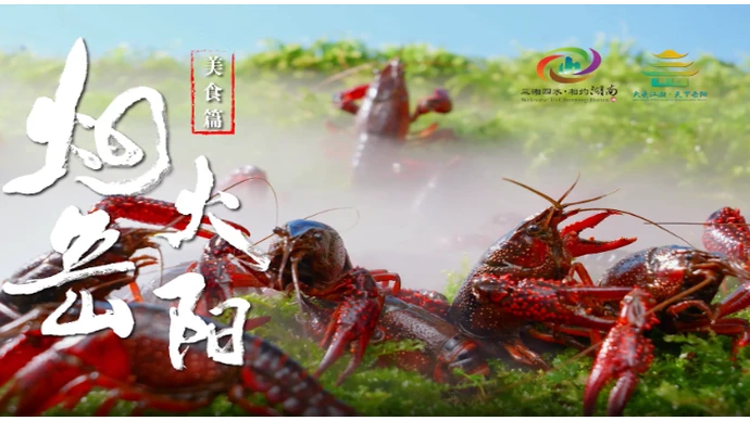 烟火岳阳丨美食篇：嘬！一口「虾鲜」醉江湖
