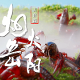 烟火岳阳丨美食篇：嘬！一口「虾鲜」醉江湖
