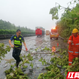岳阳高速科学应对13级强风保畅通