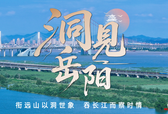 洞见岳阳丨文学“寻根”从未过时  在碎片化世界中重建连续性可能