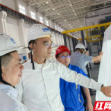 蔺佳调研新港区内重点企业