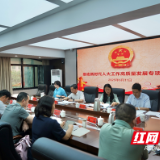 岳阳楼区：以高效能履职助力高质量发展