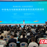 岳阳助力书写中非能源绿色发展新篇章