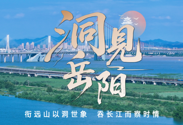 洞见岳阳丨洞庭碧波迎“归客”：一座城市与麋鹿的双向奔赴
