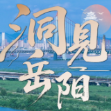 洞见岳阳丨岳阳迎百商：一场内陆高地崛起的战略共振