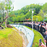 端午假期，岳阳迎客180.22万人次