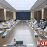 新港区：李建华专题调研华能岳阳、岳阳林纸重点项目