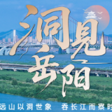 洞见岳阳丨临湘竹产业崛起背后:一根竹子的韧性哲学