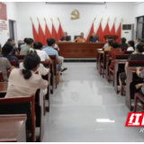 云溪区法院：送法进乡村 普法润民心