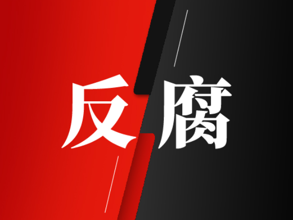 潘典宏被开除党籍和公职