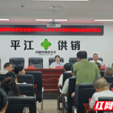 平江税务：春风送暖入供销 精准辅导纾解 “房土” 难题