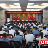 岳阳楼区召开群众身边不正之风和腐败问题集中整治工作推进会