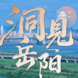 洞见岳阳丨在《洞庭幻境》里,打翻一碗故乡的茶