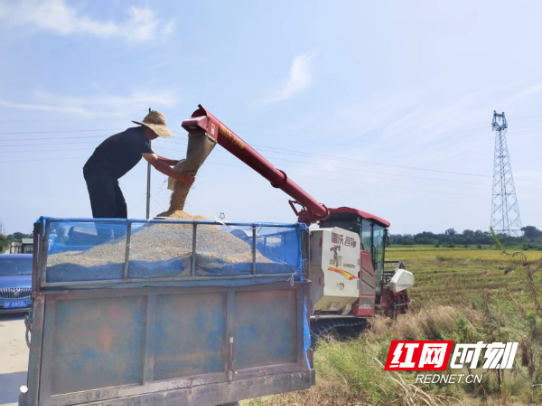 岳阳市屈原管理区：农业社会化服务联农带农助增收