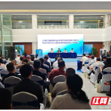 全省首创！岳阳打造全链条、集成式创业就业综合服务实体 精准助力青年就业
