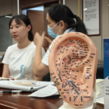 岳阳楼区纪委监委开展亚健康管理及中医科普活动