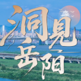 洞见岳阳｜如何“青”松创业就业？岳阳深耕服务“沃土”