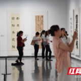 “工蕴百年”“艺纳千华”双展亮相岳阳市美术馆