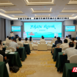 王潮歌谈“只有岳阳·戏剧幻城”：以细腻笔触触碰千年城与人的灵魂