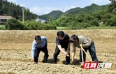 “这班岗，我要接着站好！”——记全省担当作为优秀驻村第一书记杨杰