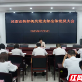 岳阳楼区委宣传部机关党支部全体党员大会召开