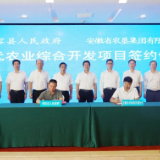 华容县与安徽农垦集团举行现代农业综合开发项目签约仪式