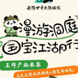 爆款来袭！三天无限刷熊猫苑+游览车全包！「国宝江湖行」一票横扫国家级洞庭湖旅游度假区！