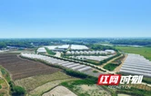 农发行岳阳市分行：金融活水润巴陵  “四大板块”赋能乡村振兴