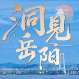 洞见岳阳丨“技术管家”模式：深化“放管服”改革的创新路径