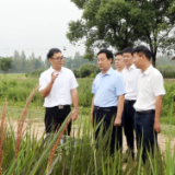 李挚赴屈原管理区、湘阴县调研