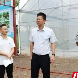 陈淼调研君山蔬菜科技园和麋鹿苑研学工作开展情况