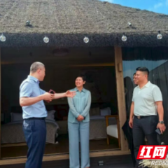 雷欣率队赴广东开展招商考察