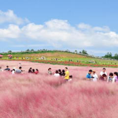 浓情九月，相约湘阴！全国太极拳赛+超多文旅福利，这份游玩攻略请收好