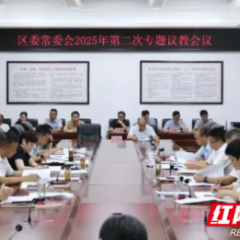 雷欣主持召开区委常委会2025年专题议教会议