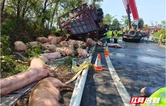 岳阳高速成功处置一起货车侧翻事故 多部门联动救援守护司乘财产安全