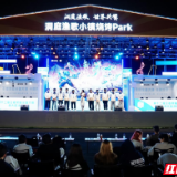 电竞文旅融合新篇章:王者荣耀全国大赛南大区赛点亮岳阳