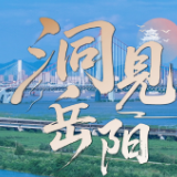 洞见岳阳丨稻穗飘香,科技赋能:屈原管理区书写丰收新篇章