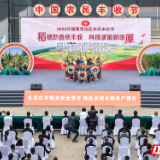 岳阳：看禾选种促增产 智慧赋能丰收节