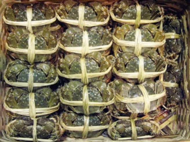 图片3.png 图片3.png