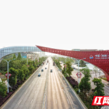 自贸五载 岳起新程丨制度创新“小切口”做活发展“大文章”