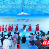 2025年岳阳楼区文化科技卫生“三下乡”集中示范活动启动